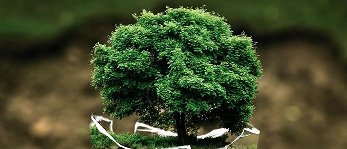 Agricoltura Sostenibile Agricoltura bio Sostenibile
