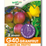 G40 granfrut argilla espansa trinium