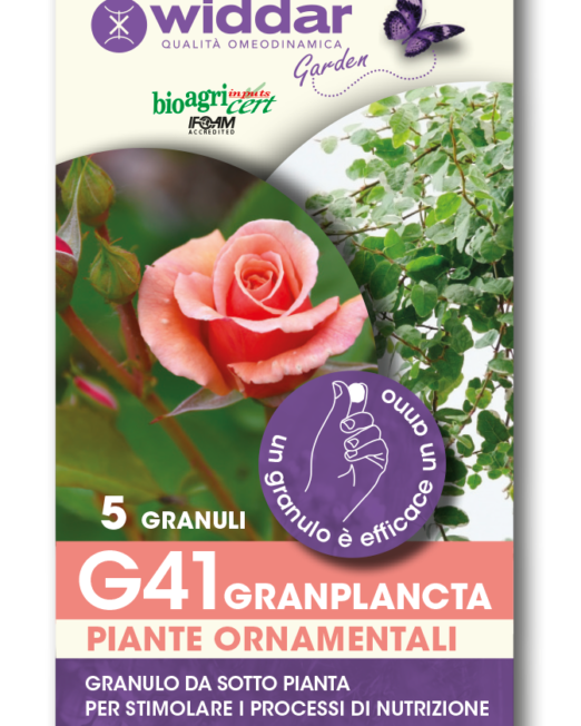 G41-5-GRANULI in argilla espansa trinium