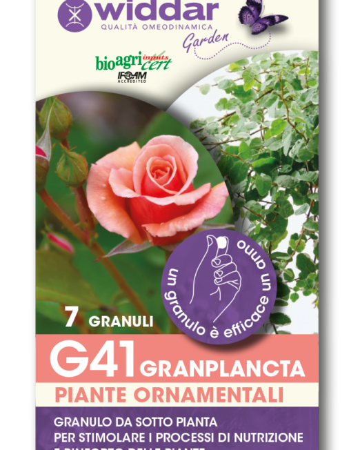 G41-7-GRANULI in argilla espansa trinium