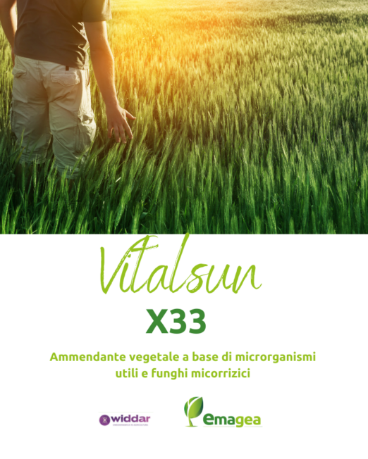 microrganismi e micorrize vitalsun x33