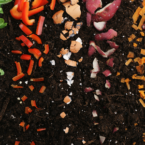 compost tea come fertilizzante alternativo