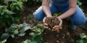 Lavorare il suolo con compost