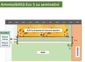 Ammissibilità Eco 5 su seminativi (Fonte foto: Angelo Frascarelli, presidente di Ismea)