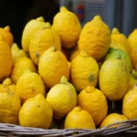 Dai una marcia in più al tuo limone: ecco il concime giusto e quando usarlo per frutti spettacolari