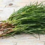 Che pianta è l’equiseto? Ecco perché dovresti iniziare ad usarla