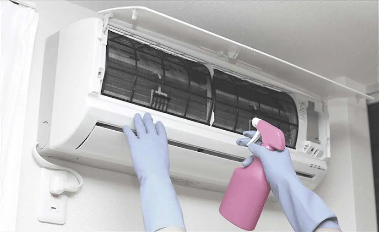 Non usare l’acqua del condizionatore: può danneggiare alcune specie