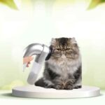 Dì addio ai peli in casa: prova SpazzolAmica per una pulizia facile e veloce