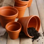 Come pulire i vasi di terracotta in modo naturale: il metodo più semplice