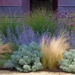 10 piante resistenti che trasformano il giardino con zero manutenzione