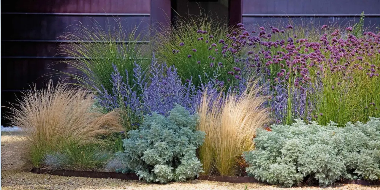 10 piante resistenti che trasformano il giardino con zero manutenzione