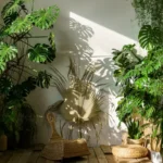 Come creare un angolo ombreggiato perfetto per piante delicate