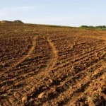 Vuoi costruire casa su terreno agricolo? Ecco la superficie minima necessaria per legge