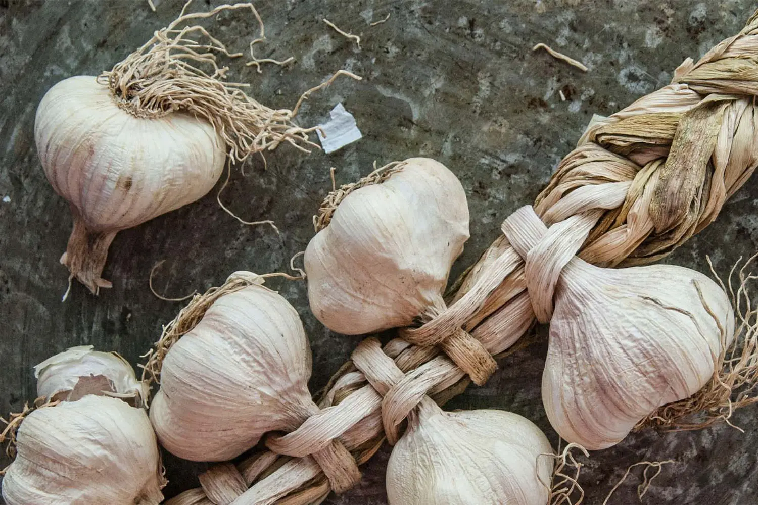 Come piantare l’aglio: i 3 consigli della nonna dal pollice verde